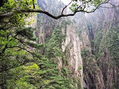 -黄山风景区