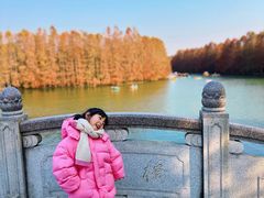 -上海海湾国家森林公园