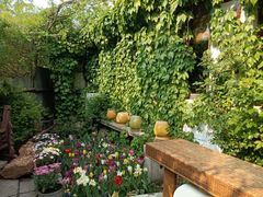 -斯多格书乡(北京大学畅春园店)