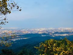 -紫金山山顶公园
