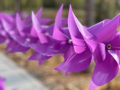 -野鸭湖国家湿地公园