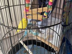 -郑远元专业修脚房(宣化路店)