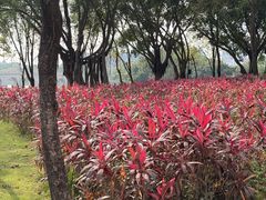 -顺峰山公园