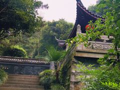 -十八棵（老龙井）御茶园(老龙井店)