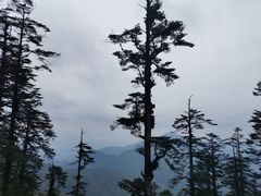 -瓦屋山景区