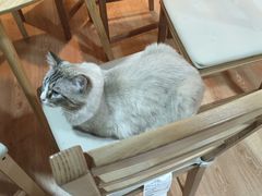 -白兔子密室(长寿路店)