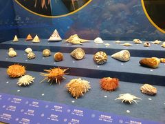 -浙江自然博物院(杭州馆)