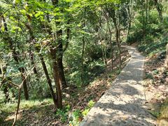 -上海佘山国家森林公园天马山园