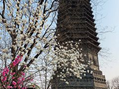 -玲珑塔公园