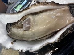 高压锅竹笼生蚝（20个大蚝）-一蚝一贝海鲜特色餐厅(万象城店)