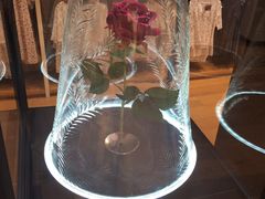 -优衣库(银座店)