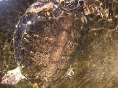 -青岛海底世界-水族馆