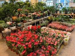-双季花艺园艺市场(浦东店)