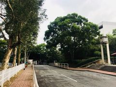 -大埔公路-马料水段香港中文大学(公交站)