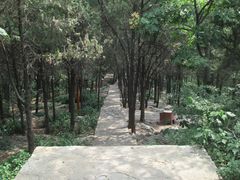 -云龙山