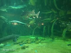 -华夏文旅海洋公园