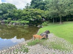 -奈良公园