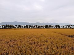 -东梓关景区村庄