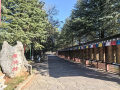 -云南民族村