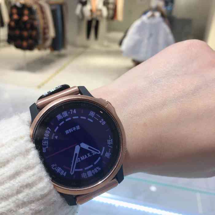 garmin佳明手表(群光广场店)