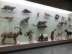 -国家自然博物馆