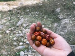 -鹫峰国家森林公园