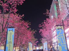 -南屏步行街
