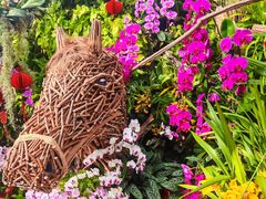 -北京植物园-展览温室