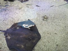 -鸿通城购物中心