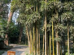 -成都杜甫草堂博物馆