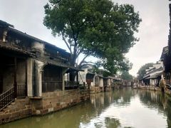 -乌镇东栅景区