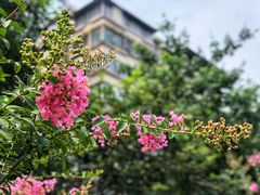 -广九铁路纪念园