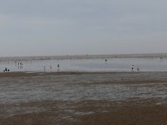 -碧海金沙