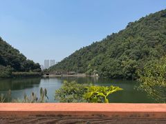 -桃花岭景区
