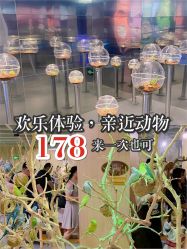 -七巧国萌宠乐园(龙湖天街店)