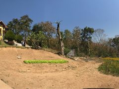 -黄色小屋
