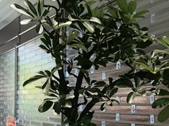-海底捞火锅(高科广场店)