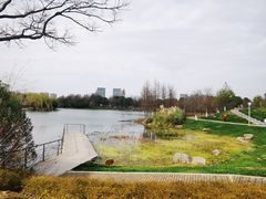 -尚贤河湿地