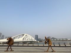 -星光岛