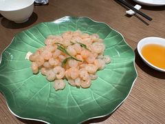 -张生记(丁香国际店)