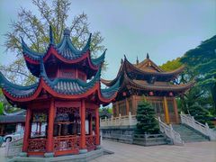 -上海东林寺(金山区)