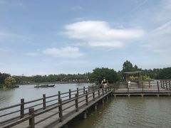 -大湾区中央湿地公园