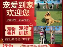 -宠物寄养训练学校