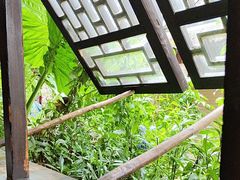 -香满楼(临安路店)