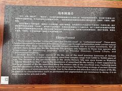 -金沙遗址博物馆