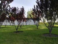 -北京园博大酒店