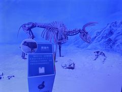 -吉林省自然博物馆