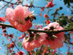 -水濂山森林公园