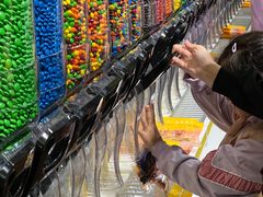 -郑州方特梦幻王国