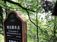 -龙苍沟森林公园
